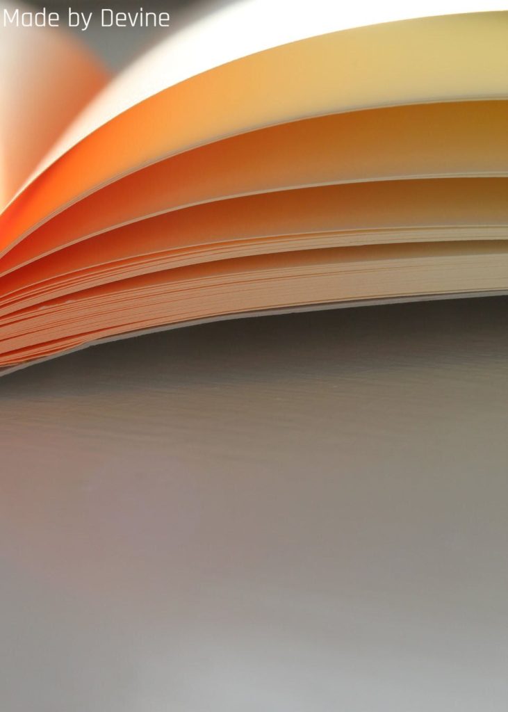 mbd devine journal coral edge pages fan 03.jpg