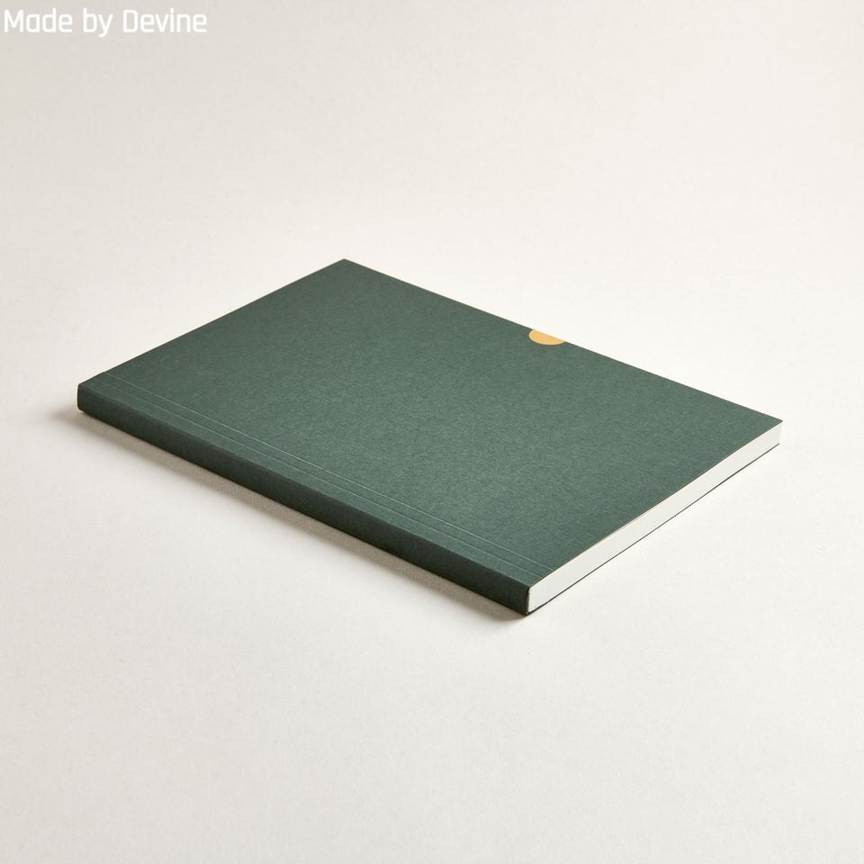 mbd devine journal sage cover angle 02.jpg